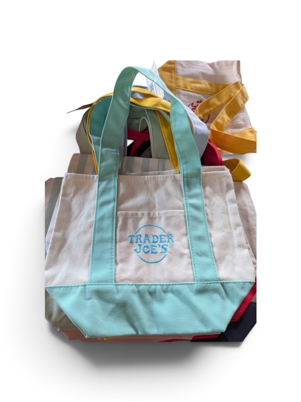 Canvas Tote Bag in Light Blue and White